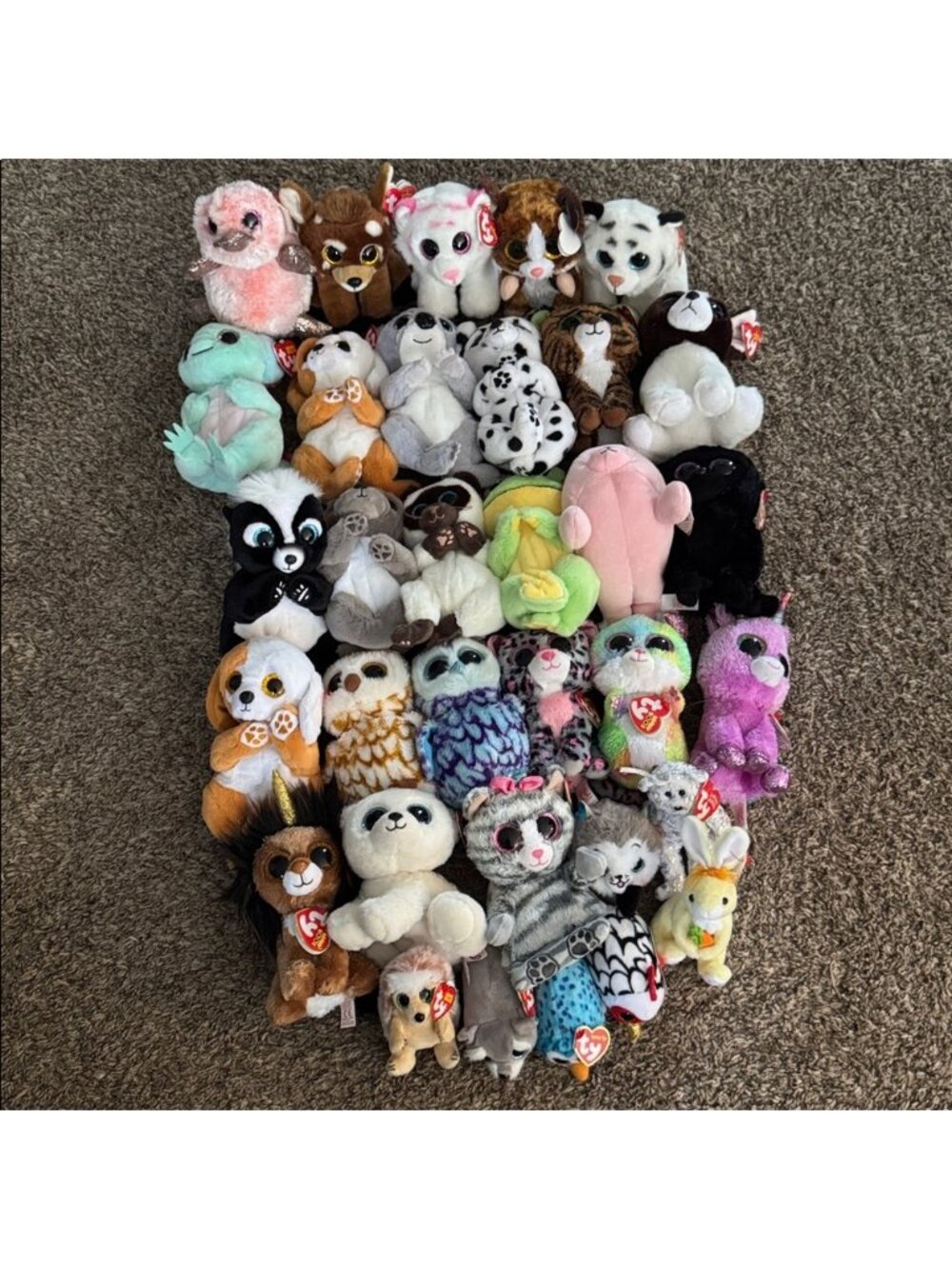 TY Beanie Bellies Original Boos Teeny Tys & More All With Tags